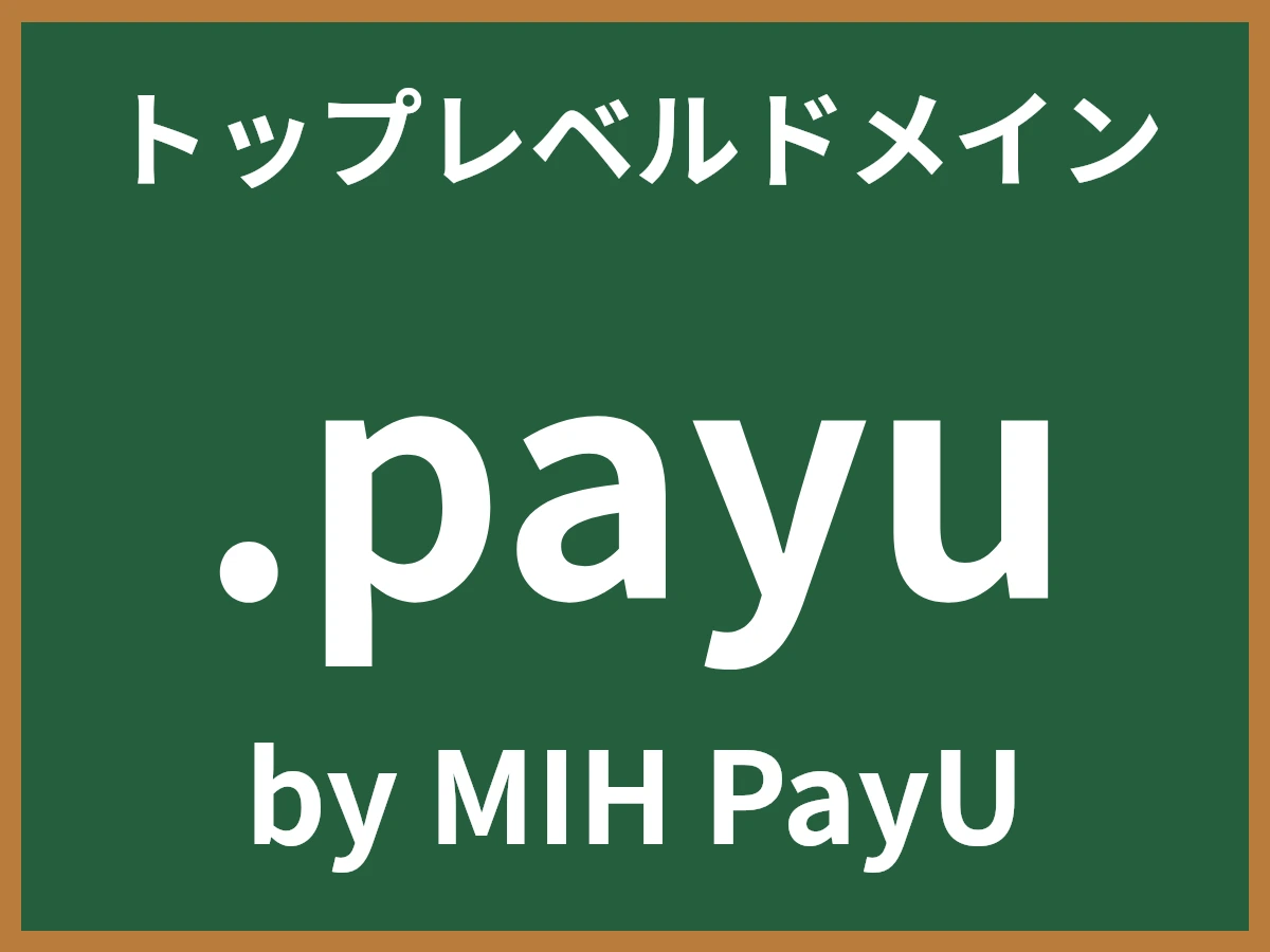.payuとは
