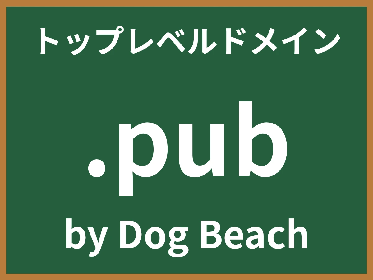 .pubとは